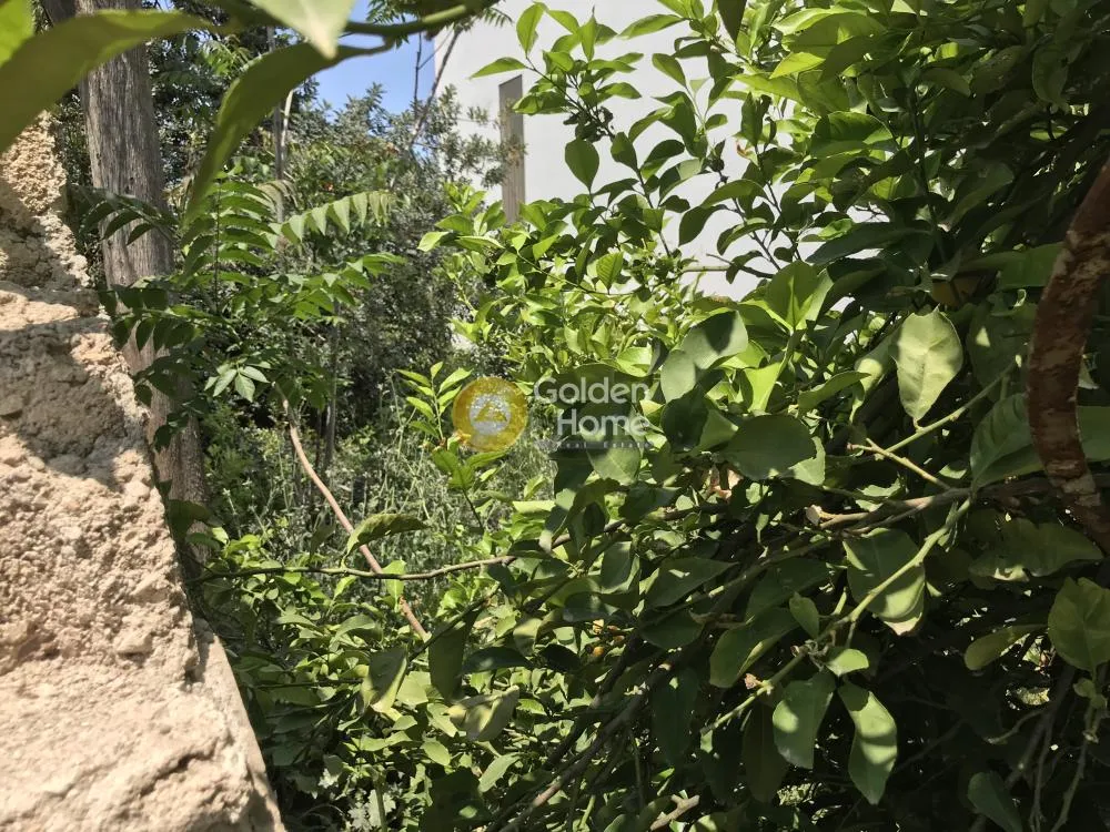 Aed - Plot for Development with Central Location in Menidi
