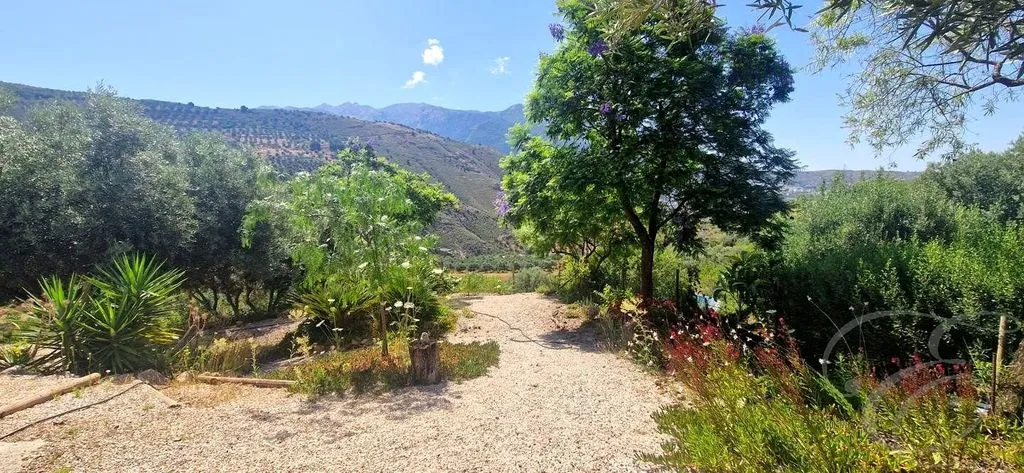 Garden - Detached Country House with Pool in Alcaucín
