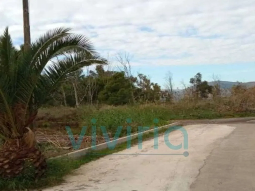 Aed - Building Land near Beach in Benicassim