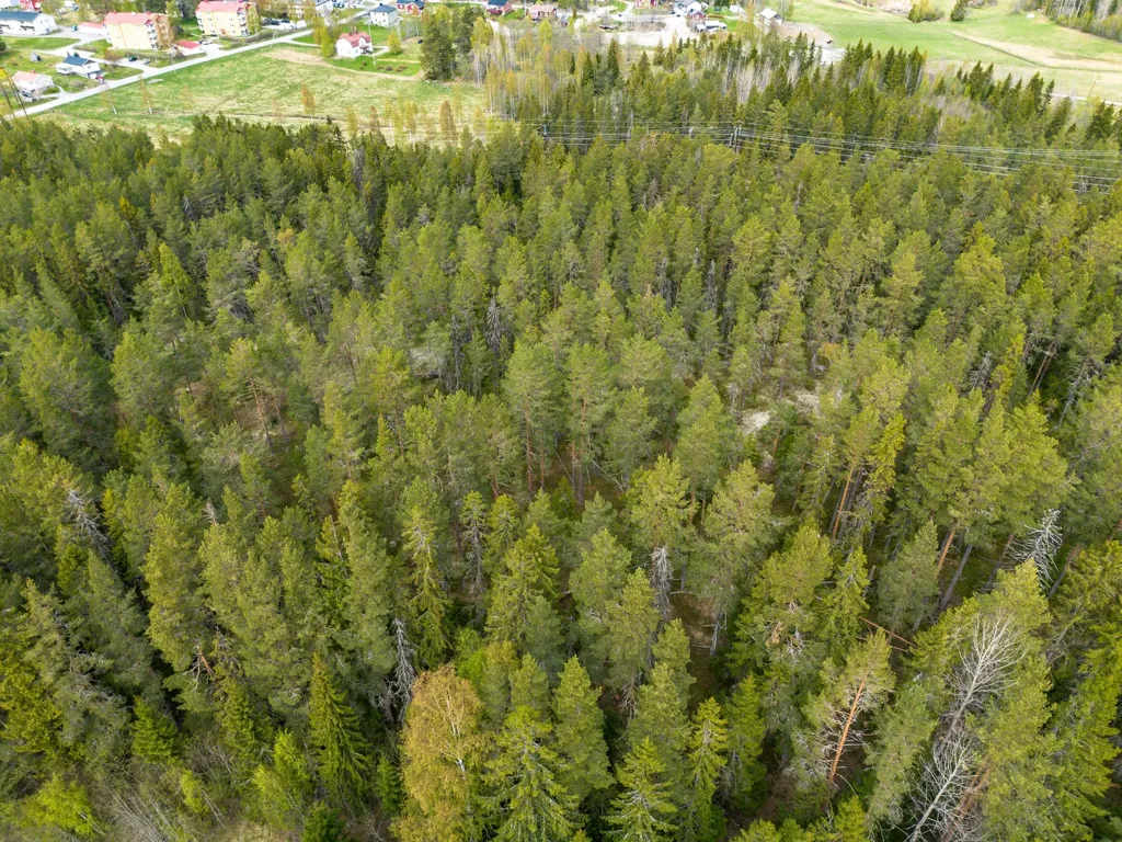 Vista aerea - Forest Cottage with Eco Heating in Hälledal