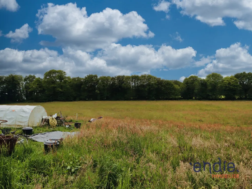 Aed - Detached House with Barn and Meadow in Morbihan