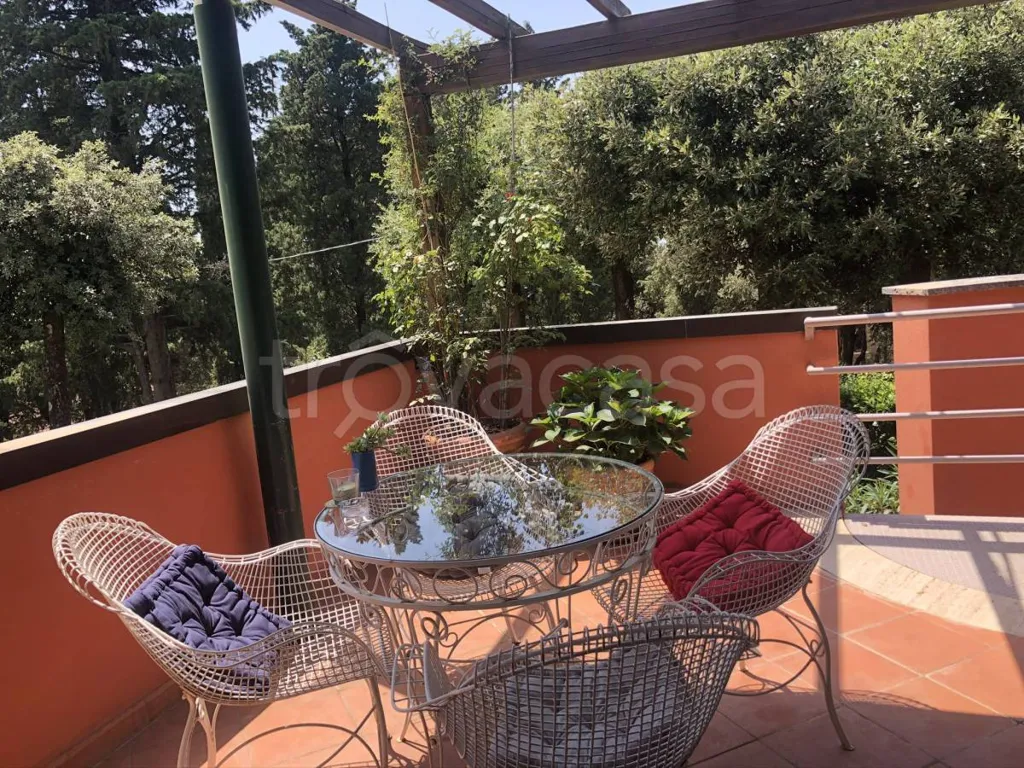 terrace_patio