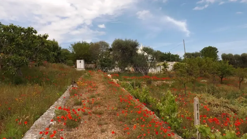 Garden - Typical Trulli House in Ostuni