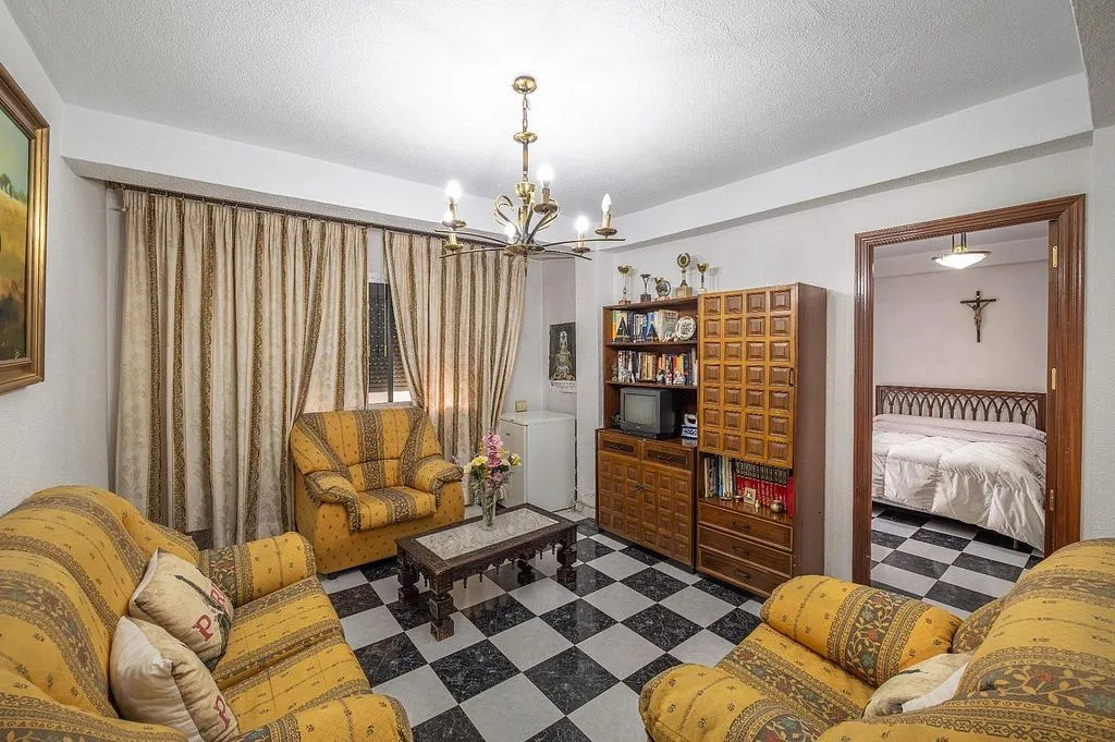 Living Room - Apartment with Terrace in Zaidín District