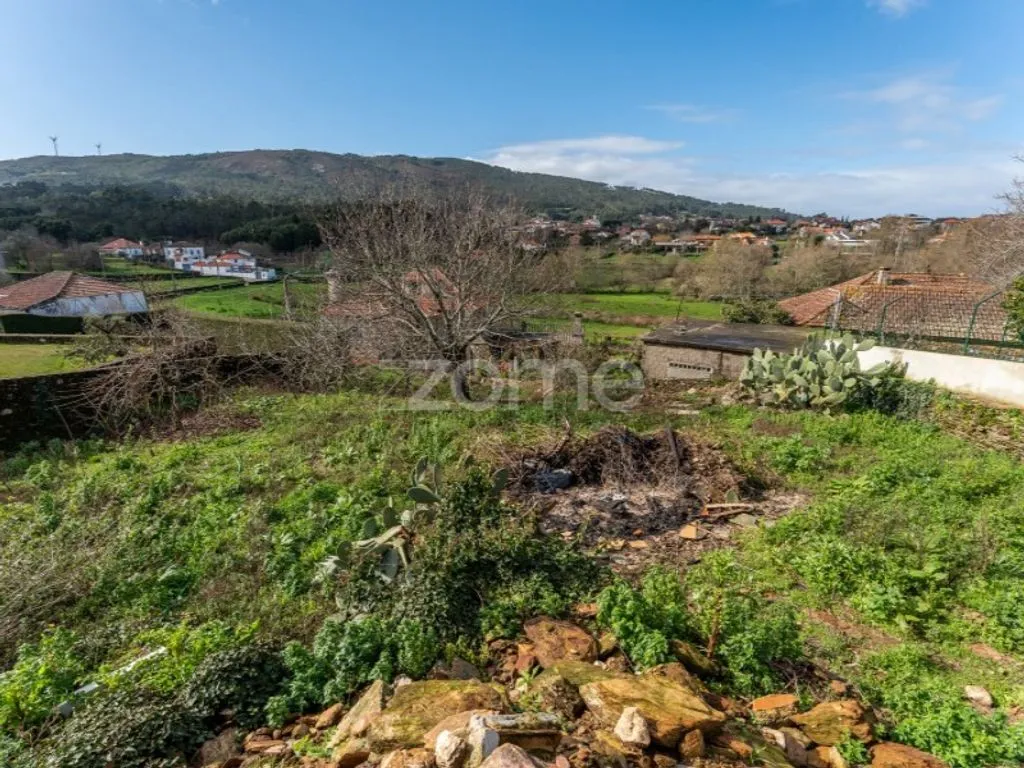Garden - Contemporary Stone House with Pool in Caminha