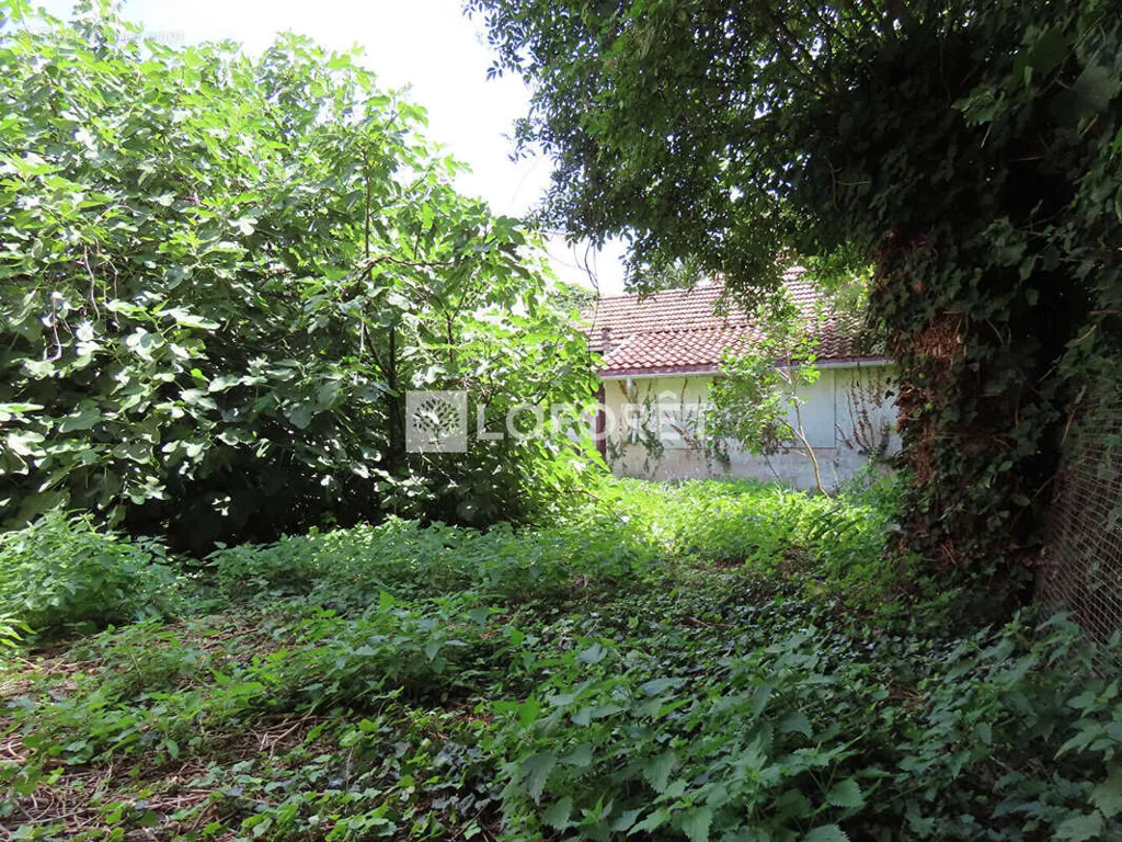 Jardin - Maison à Rénover avec Jardin à Benfeld