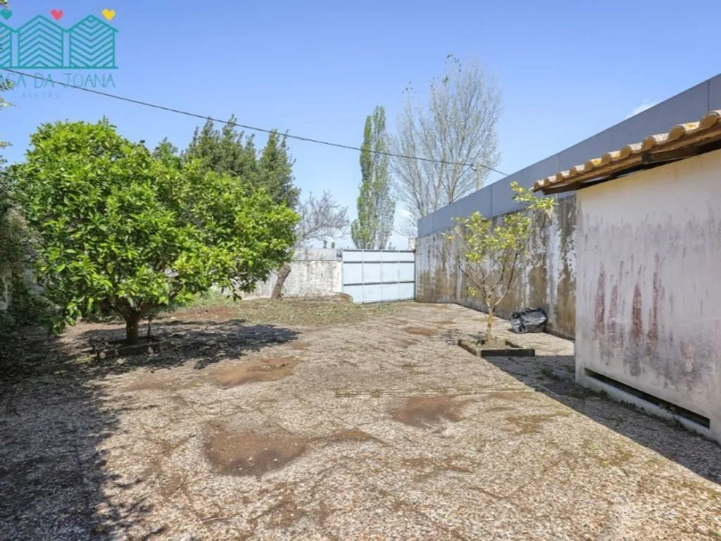 Jardin - Luxury Villa with Pool in Aveiro