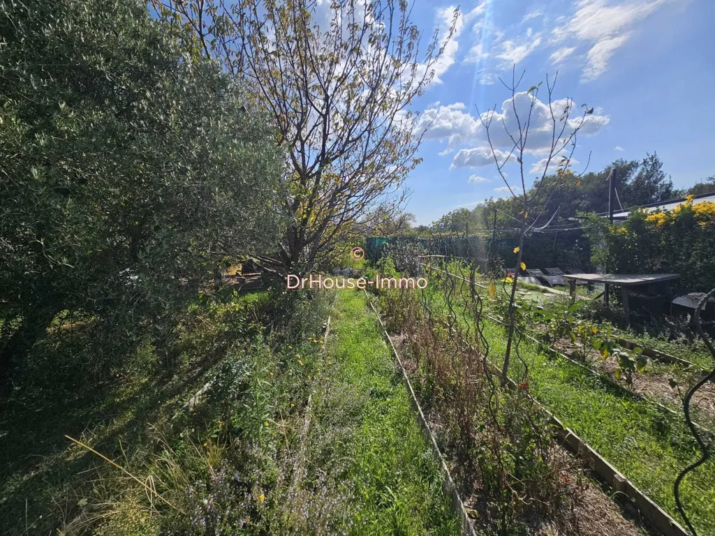 Jardin - Maison avec Piscine et Vue à Marseille-13e