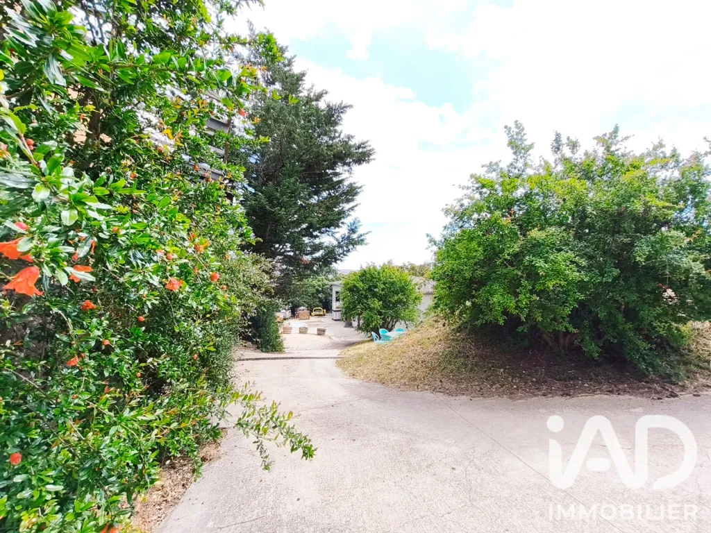 Esterno - Vineyard Property with Multiple Buildings in Roquessels