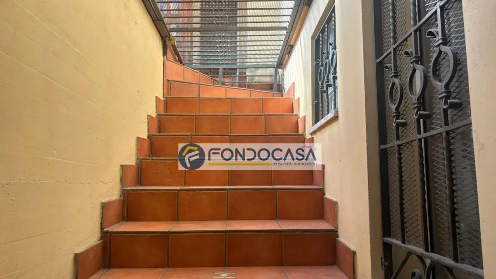 Toad - Terraced Villa with Veranda in Carrara