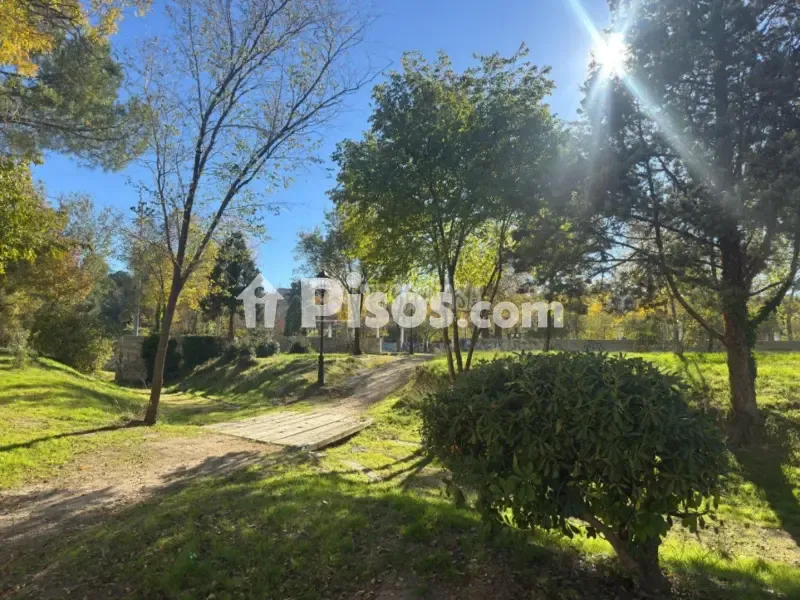 Jardin - Bright Apartment with Terraces in Nuevo Aranjuez