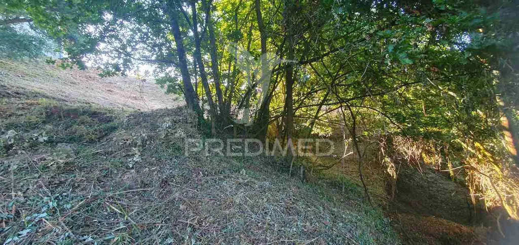 Aed - Urban Plot with River View in Lever