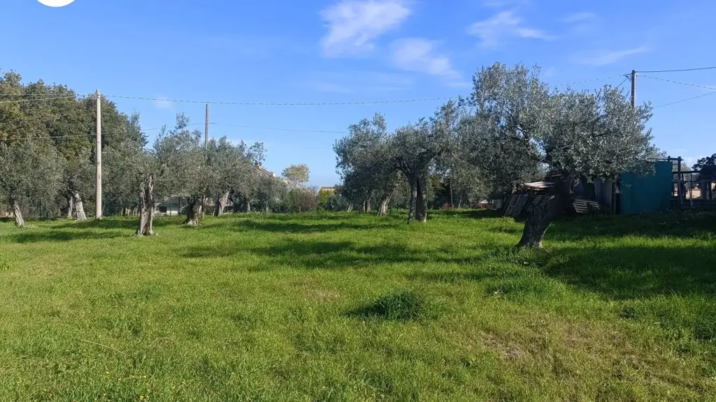 Aed - Villa with Panoramic View in Vasto