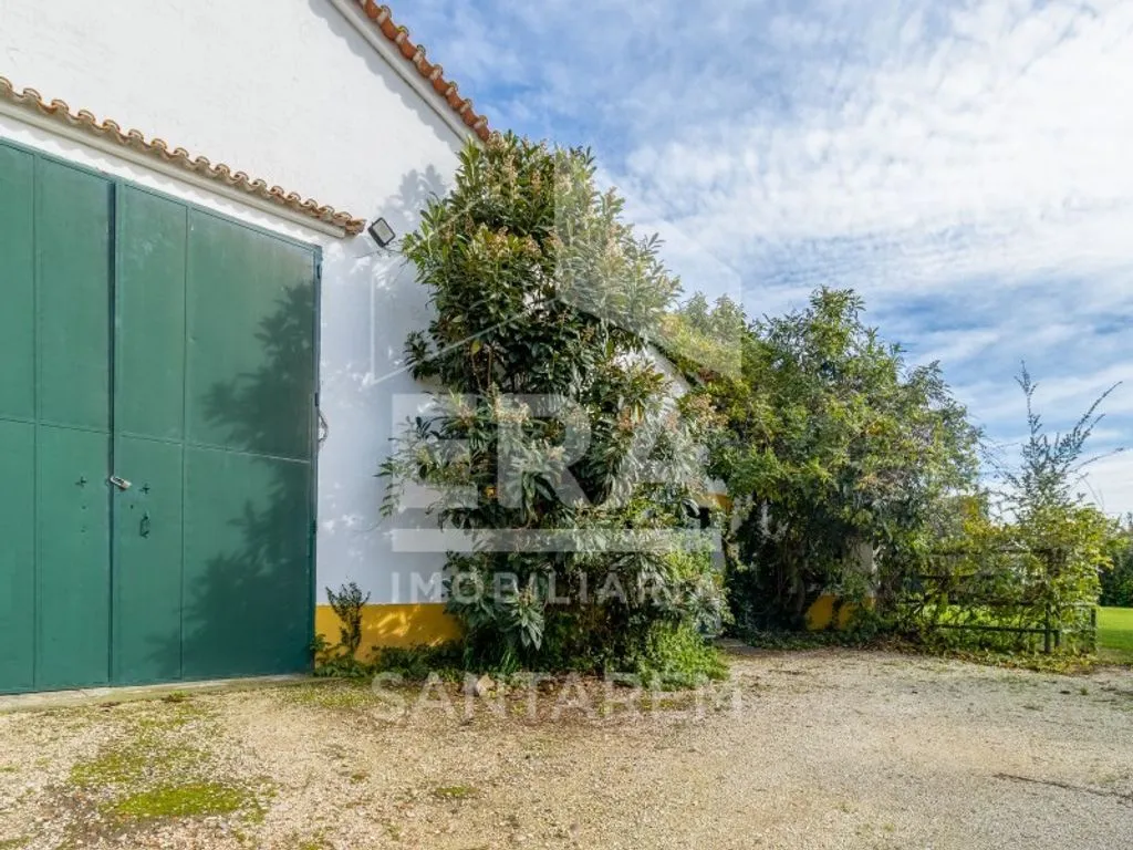 Extérieur - Luxury House with Agricultural Land in Benfica do Ribatejo