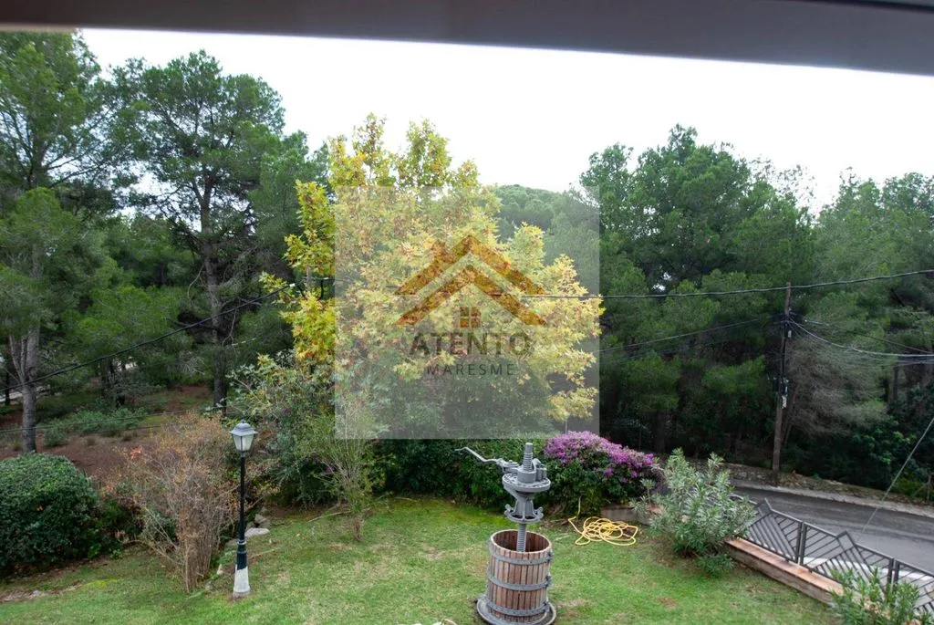 Giardino - Detached House with Sea View in Premià de Dalt