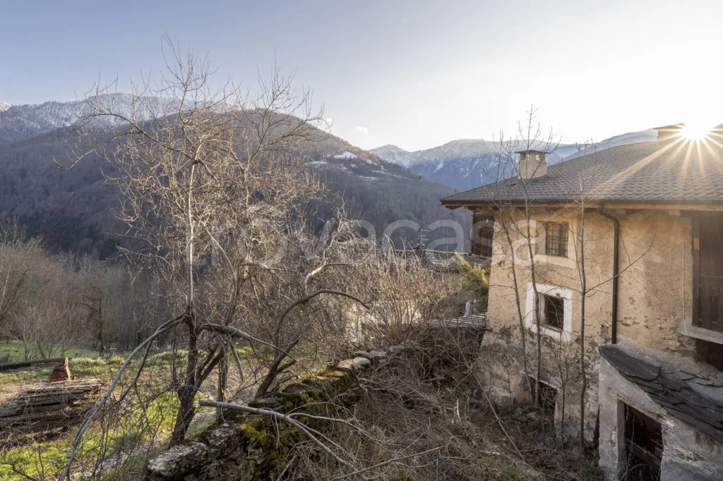 Exterior - Rustic Baita with Garden in Celle di Macra
