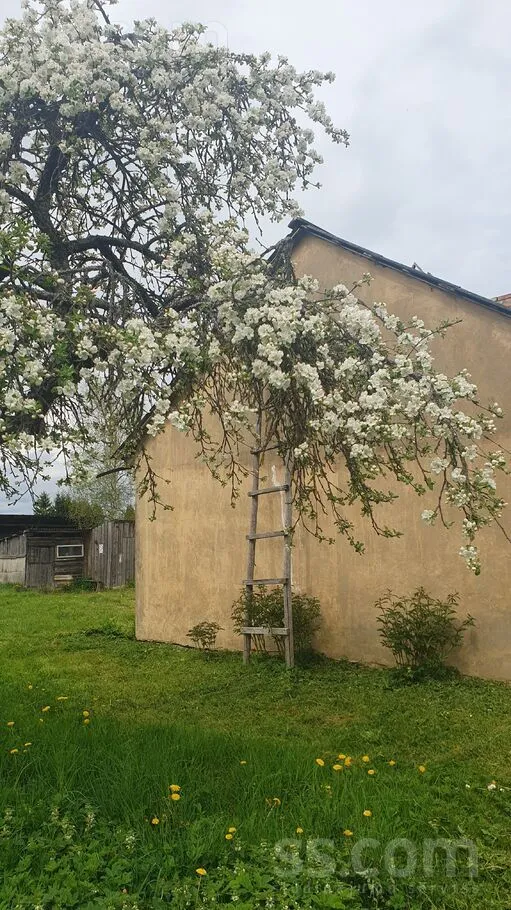 Välivaade - Cottage for Renovation near Kuldīga