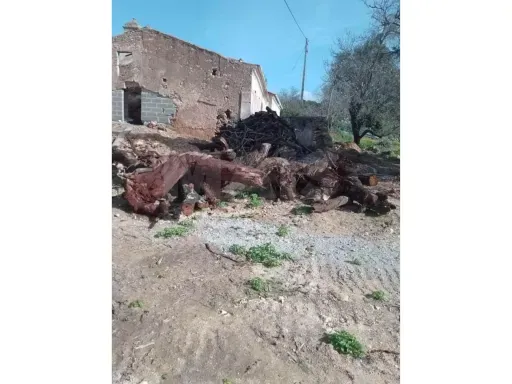 Jardin - Quinta with Ruin in Tunes