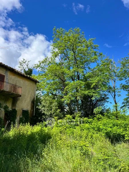 Extérieur - Rustic Farmhouse with Vineyard in Casciana Terme