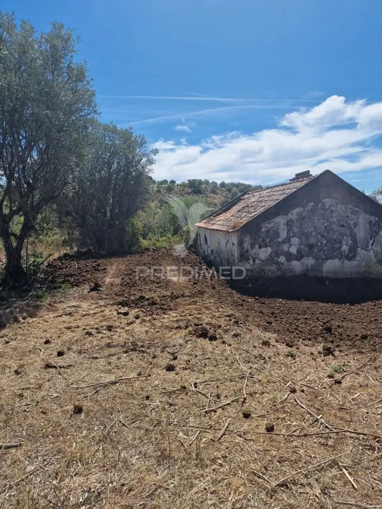 Extérieur - Alentejo Farmhouse with Potential in Montargil