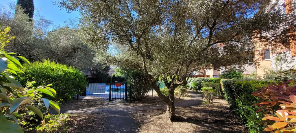 Jardin - Appartement T3 avec Piscine à Borderouge