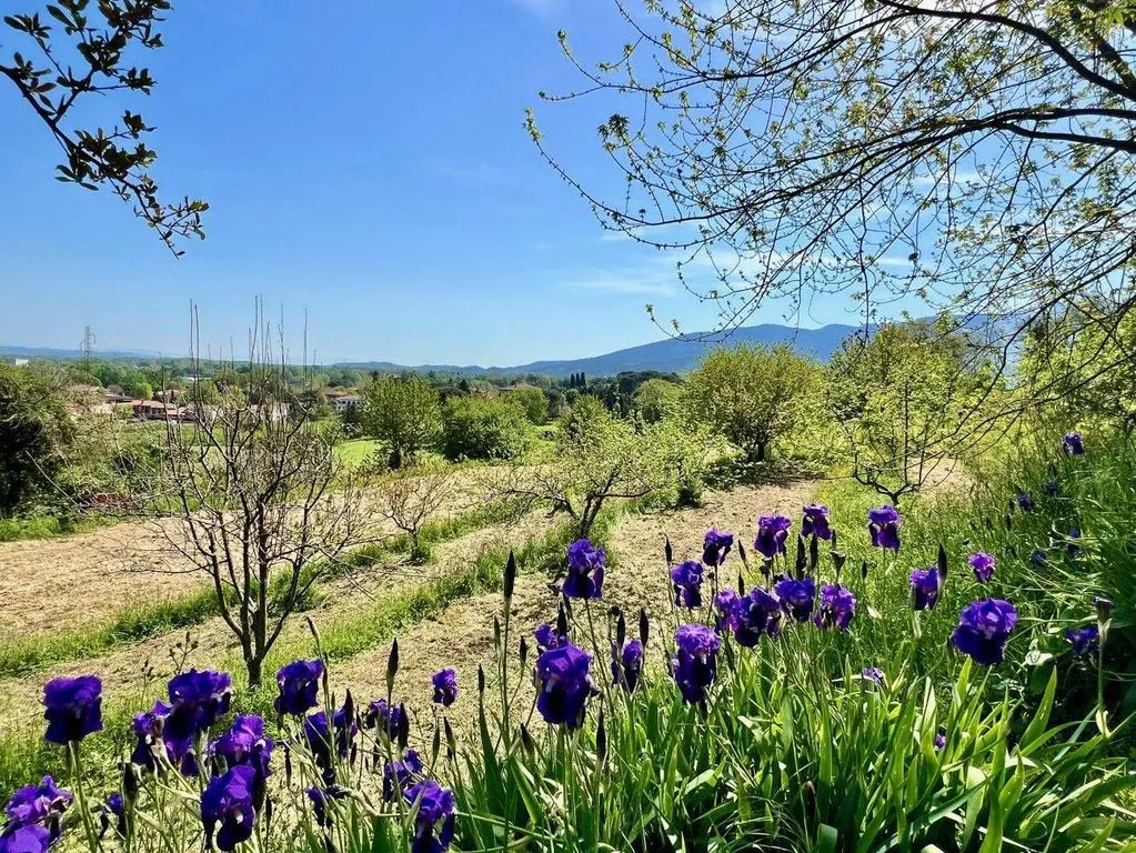 Jardin - Luxury Villa with Park View near Lucca