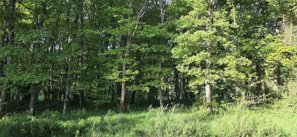 land_plot
