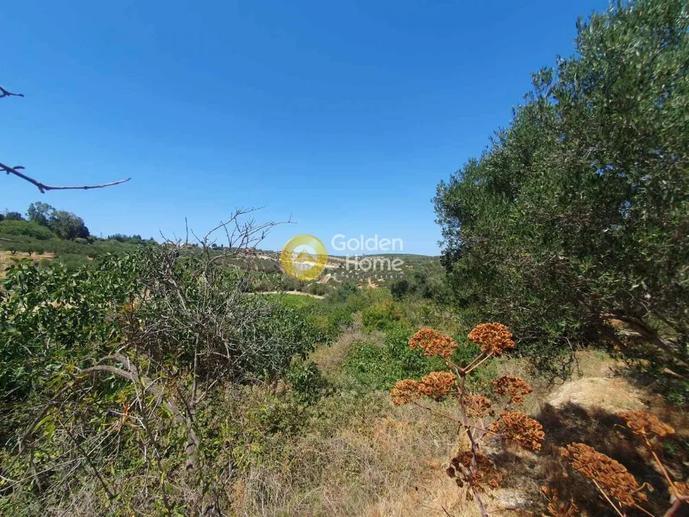Jardin - Buildable Plot with Sea View in Episkopi