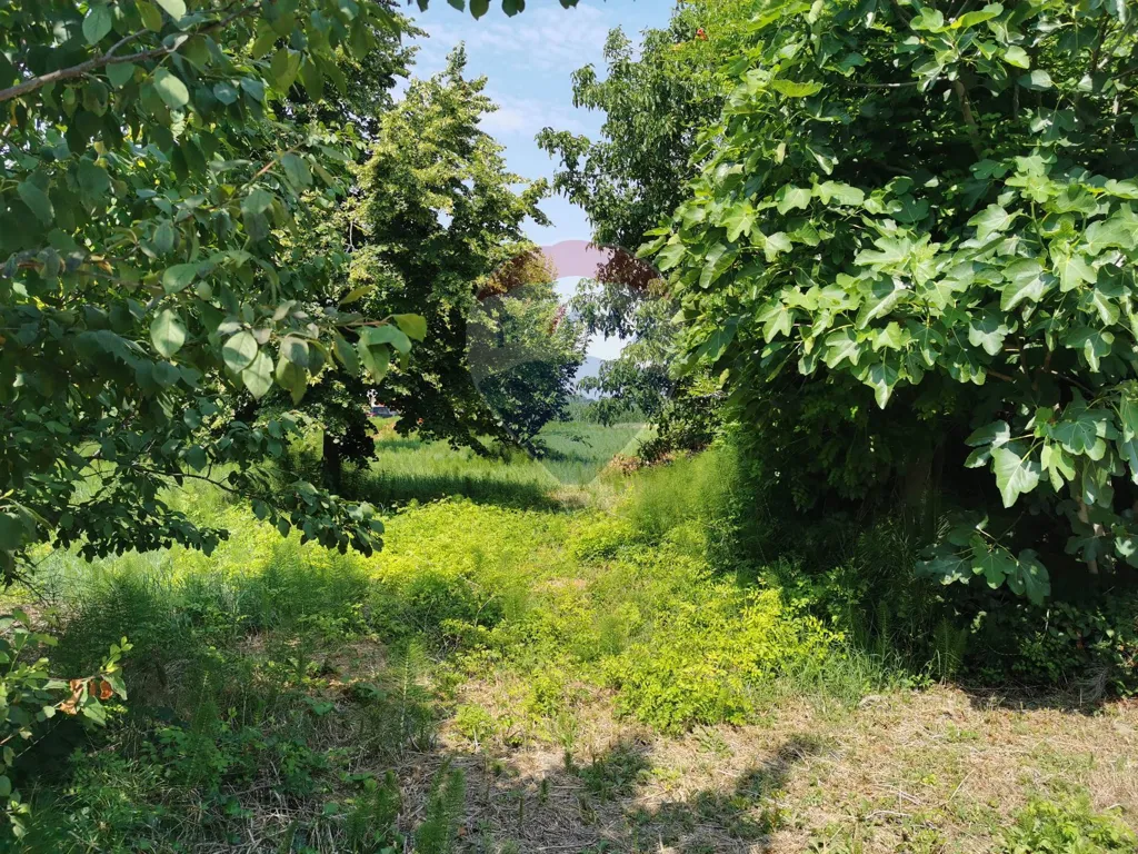 Aed - Independent Villa with Garden in Cento