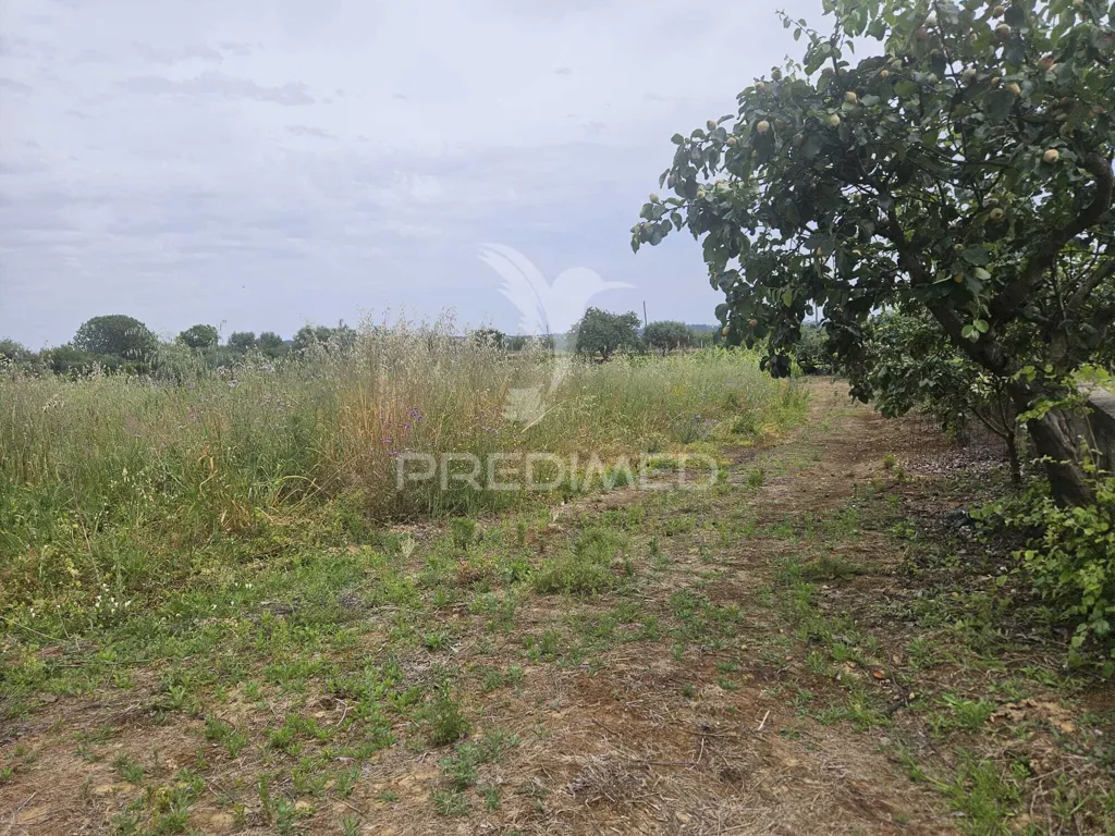 Giardino - Urban Plot with Construction Potential in Valdonas