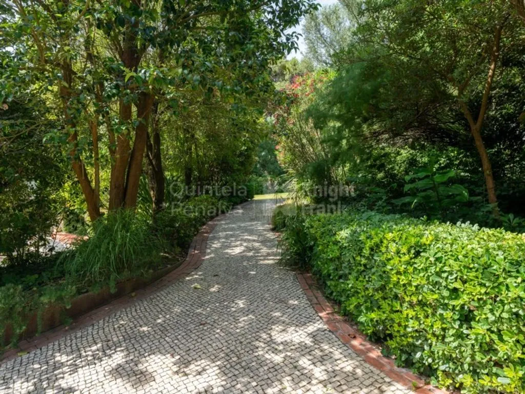 Jardin - Mediterranean Villa with Garden in Birre, Cascais