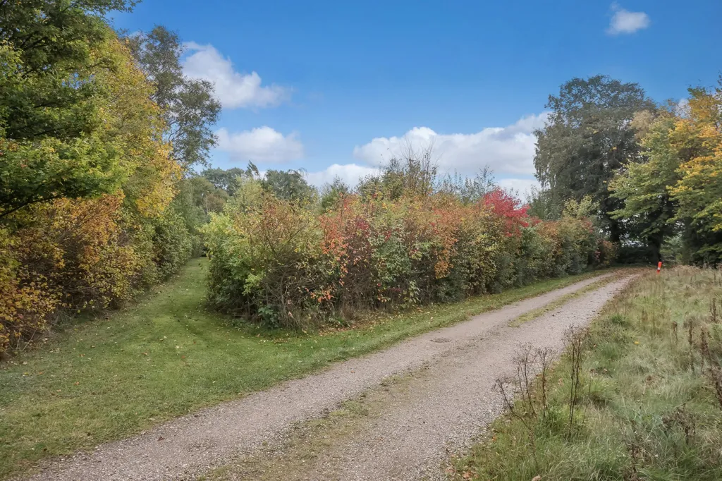 Aed - Year-Round Plot with 5G Coverage in Mønsted