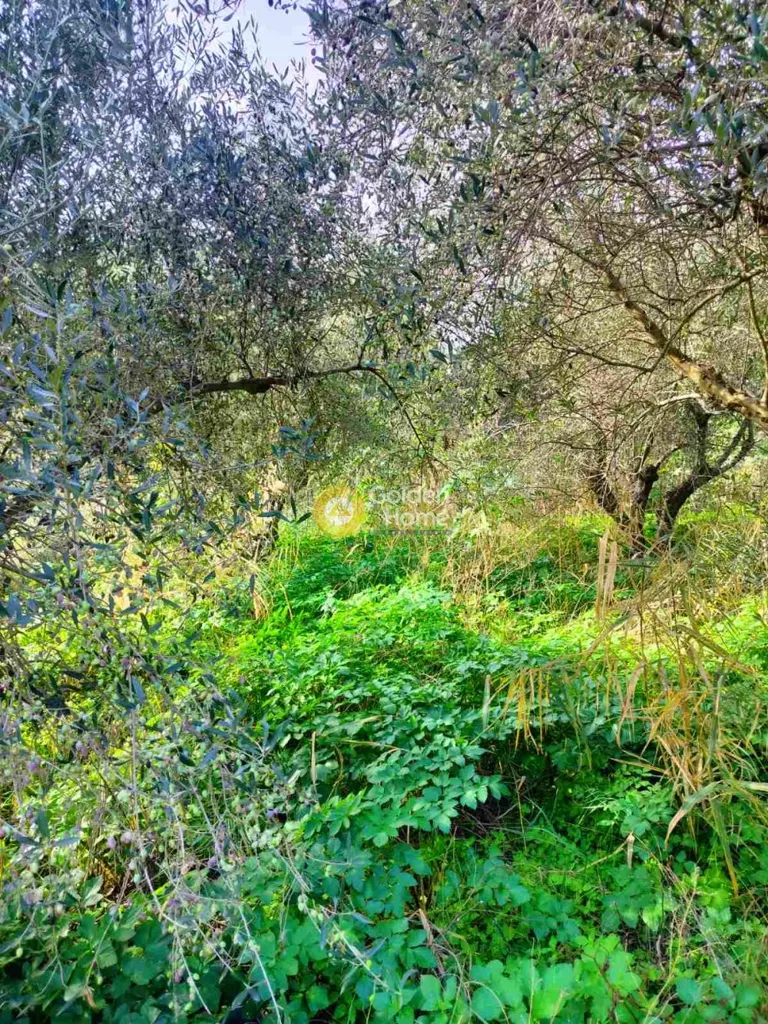 Jardin - Plot with Sea View in Ammoudara