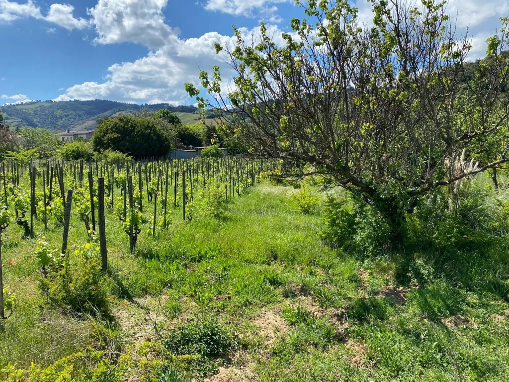 Aed - Villa with Garden in Cornas