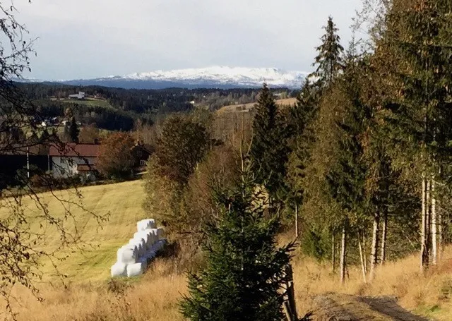 Building Land with Ski Access in Snertingdal