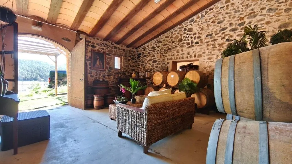 Toad - Boutique Vineyard with Winery in Priorat
