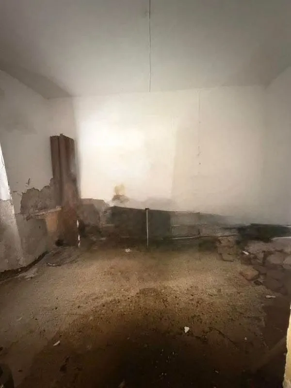 cellar