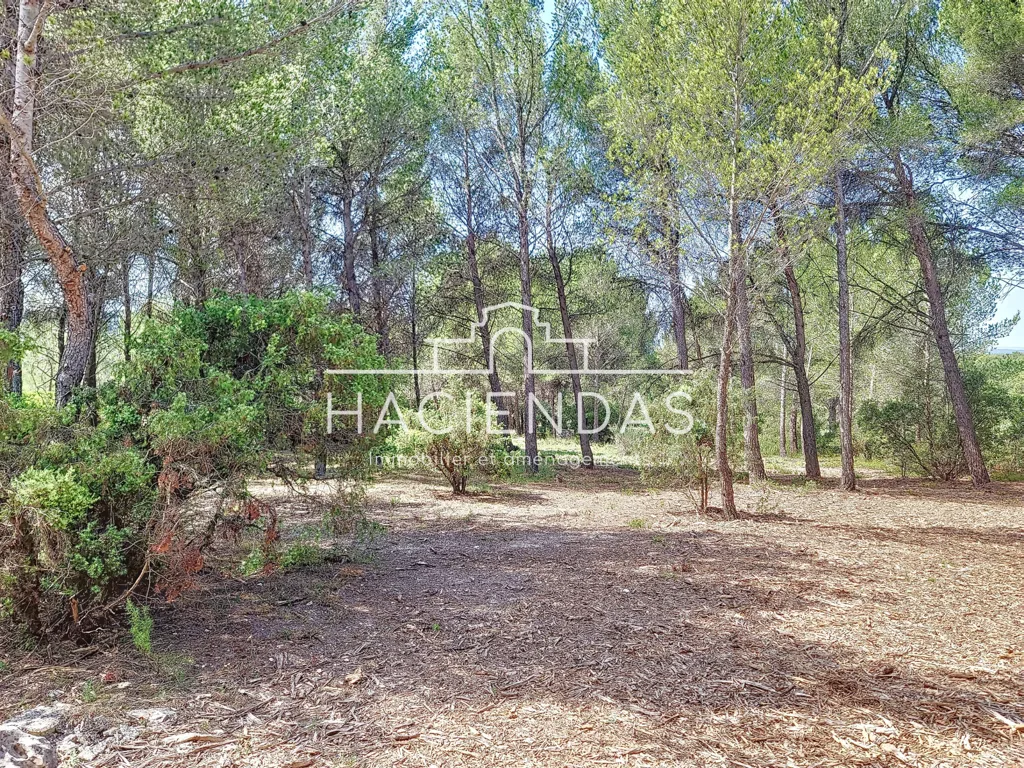 Jardin - Maison de Luxe à Renover avec Piscine à Ventabren