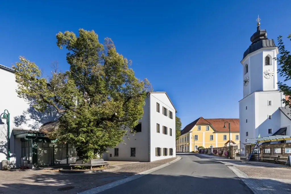Ground Floor Apartment with West View in Miesenbach