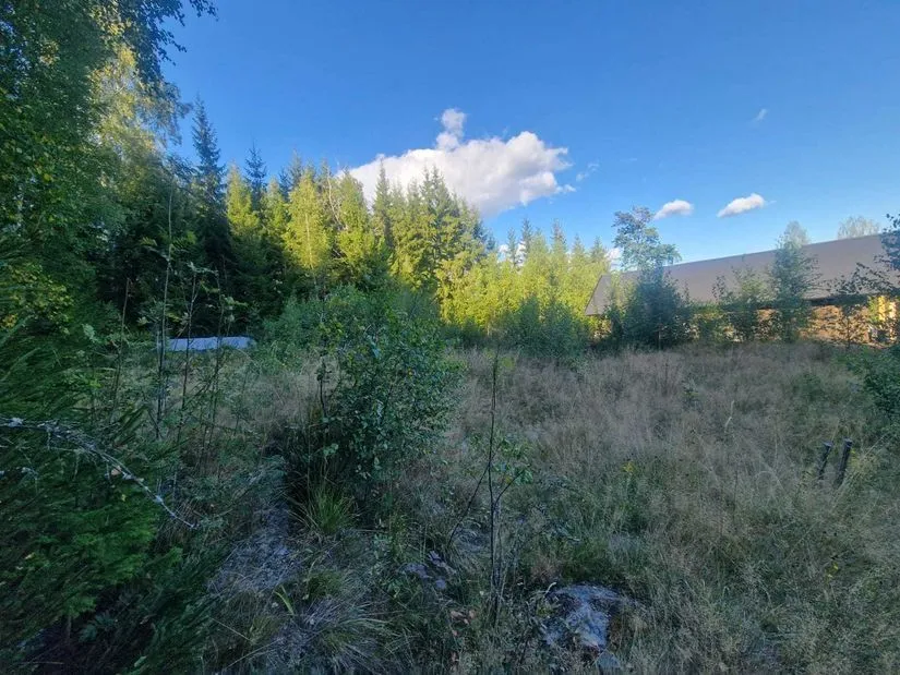 Aed - Corner Plot with Ski Centre Proximity in Eda