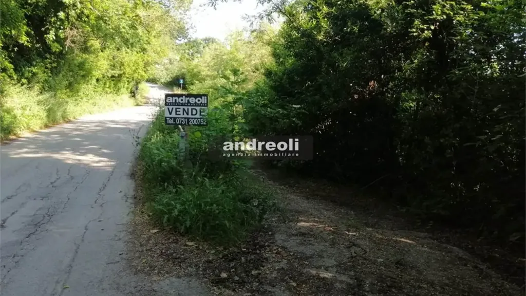 Giardino - Rustic House with Panoramic Views in Morro d'Alba