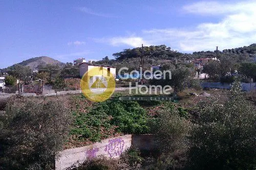 Jardin - Detached House with Garden in Ampelakia Centre
