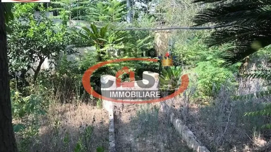 Jardin - Restored Villa with Olive Grove in Marsala