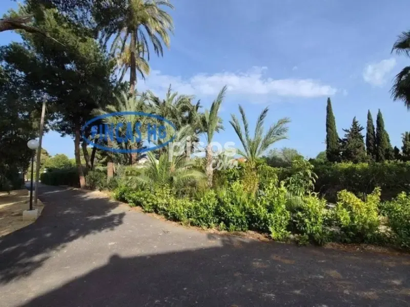 Extérieur - Estate with Pool and Garden in Mutxamel