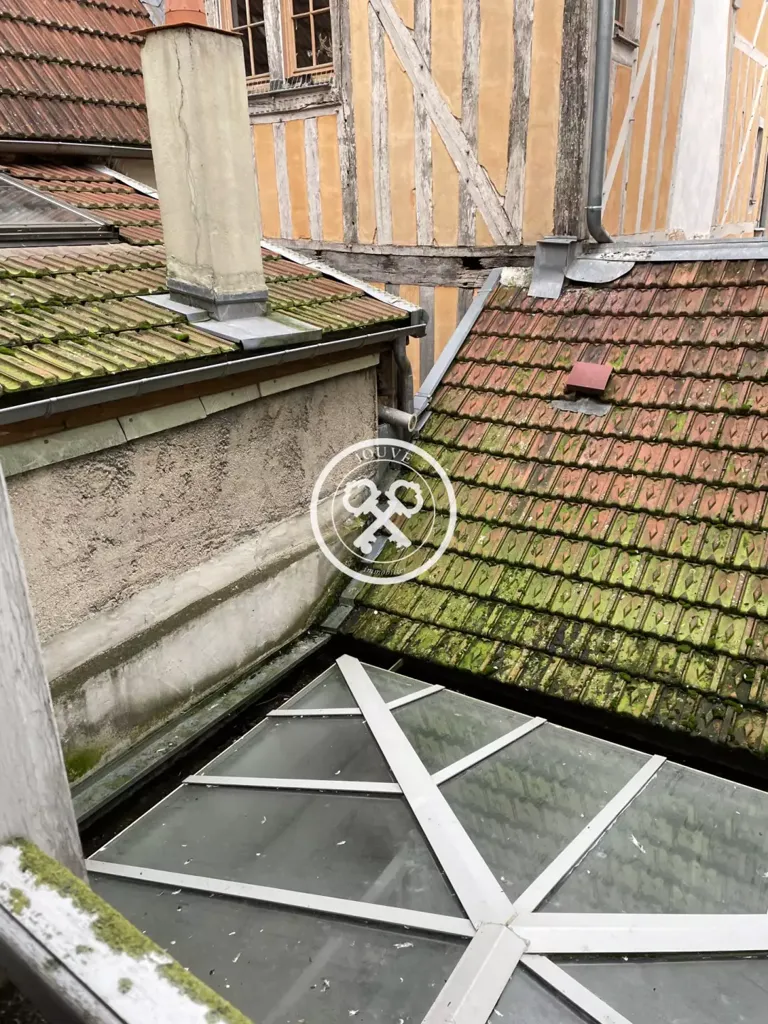 Garden - Commercial Building with Courtyard in Troyes Centre