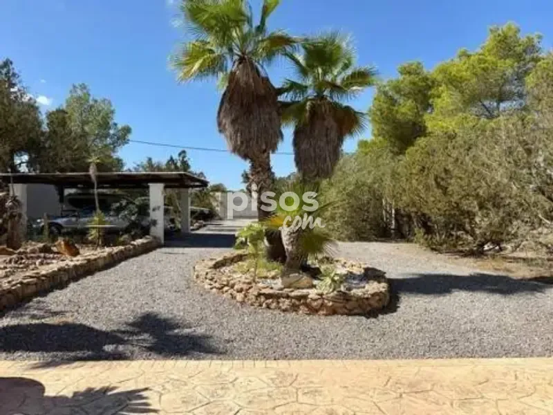 Extérieur - Mediterranean Villa with Pool in San Jose, Ibiza