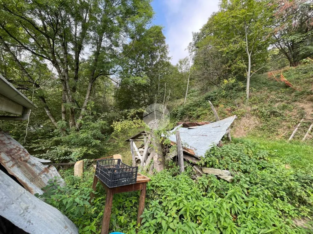 Aed - Semi-detached House with Garden in Rubiana