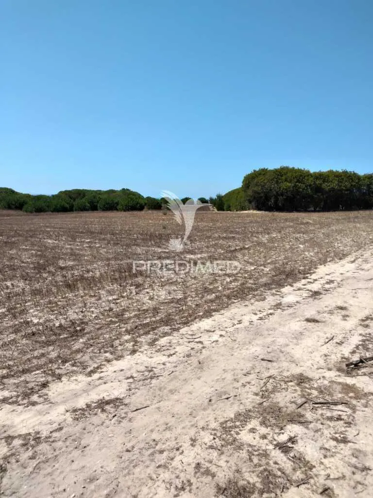 Jardin - Rustic Plot with Sea Access in Porto Côvo
