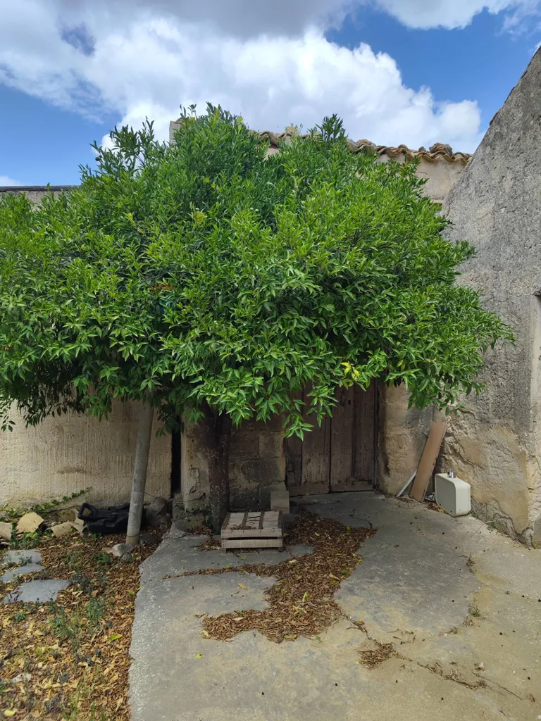 Aed - Buildable Land with Existing Structure in Trapani