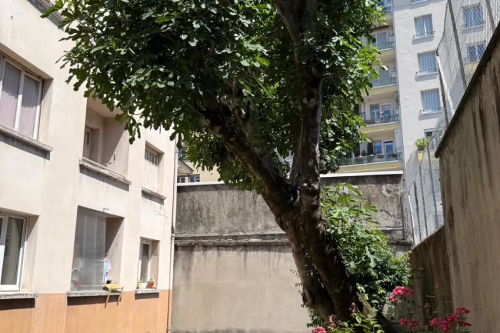 Jardin - Studio avec Cour Arborée au Centre de Grenoble